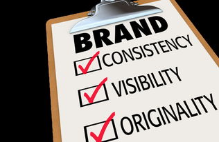 湖南松本林业松脂深加工化工产品品牌梳理与规划建议